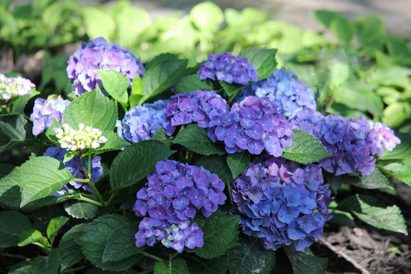 Transformer pour louer : Quels aménagements favoriser pour maximiser votre rendement locatif ?