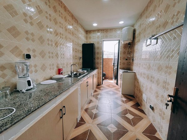 Les Meilleurs Arbres pour Embellir les Petits Jardins : Nos Sélections Incontournables